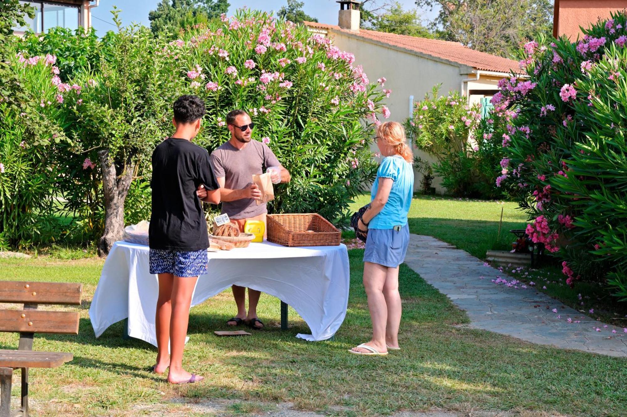Pinea Mare Hotel Poggio Mezzana Buitenkant foto