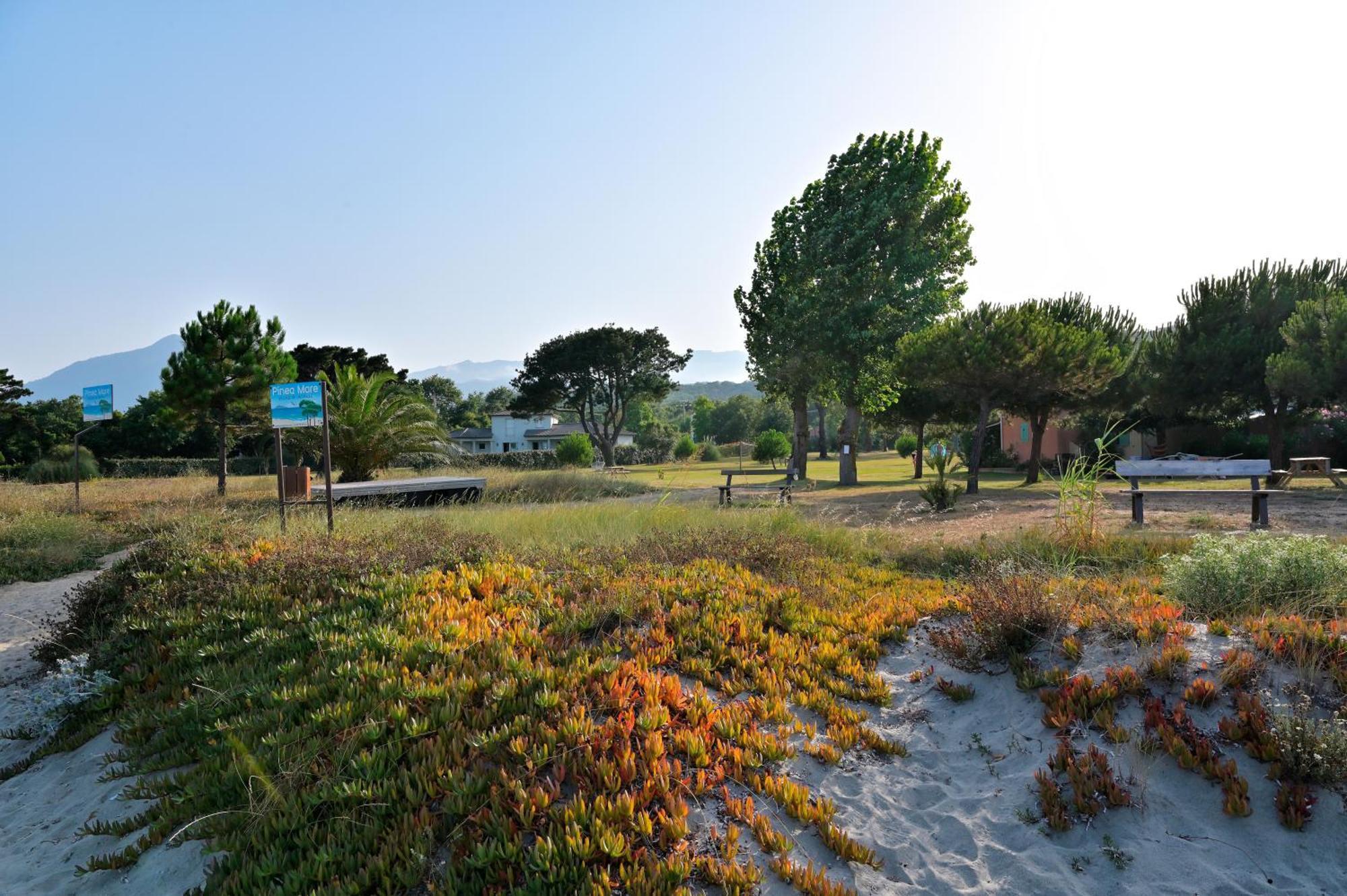 Pinea Mare Hotel Poggio Mezzana Buitenkant foto